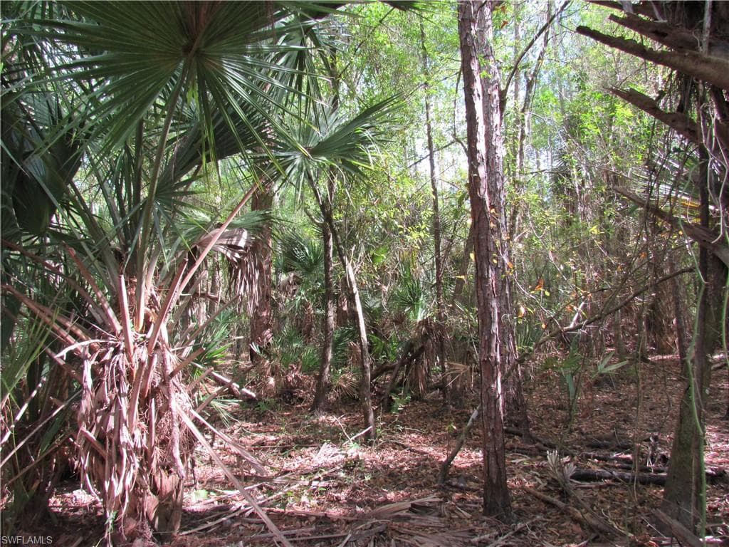 1130 Debbie LN, LABELLE FL 33935-3