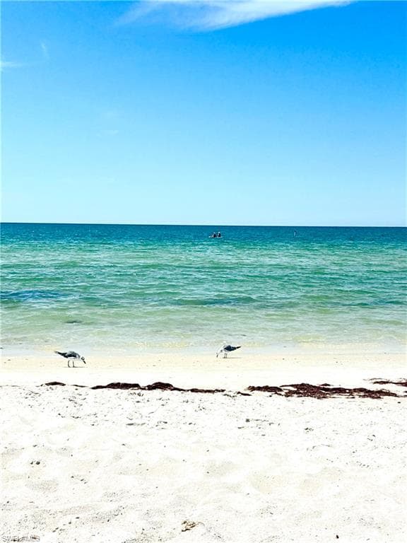 913 Carrick Bend CIR # 202, NAPLES FL 34110-38