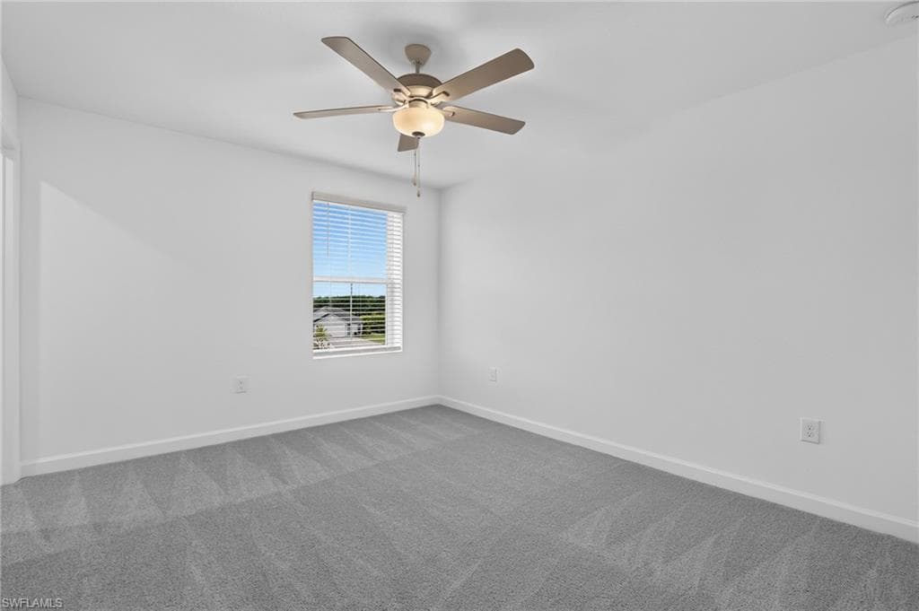 45018 Pipevine CIR-10