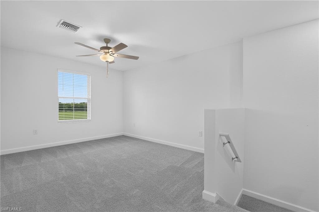45018 Pipevine CIR-14
