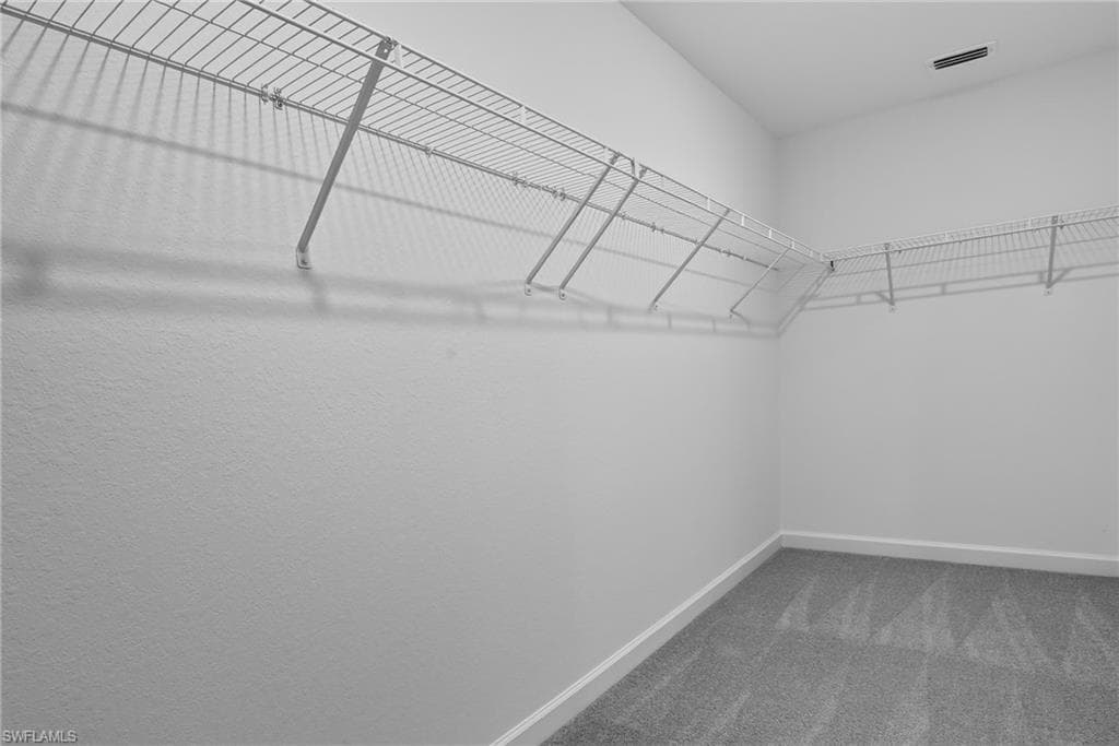 45018 Pipevine CIR-15
