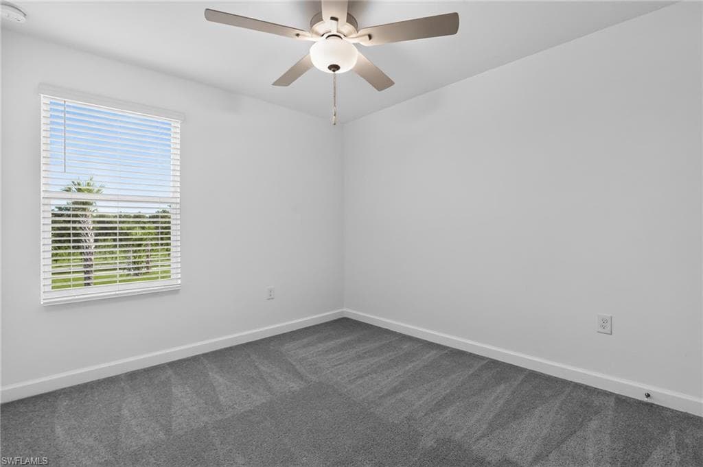 45018 Pipevine CIR-11