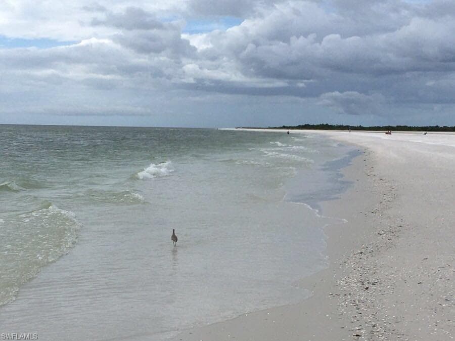 829 W Elkcam CIR # 208, MARCO ISLAND FL 34145-25