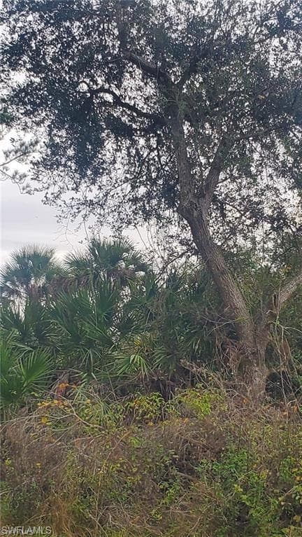 315 IVANHOE AVE Banyan Village, LABELLE FL 33935-1