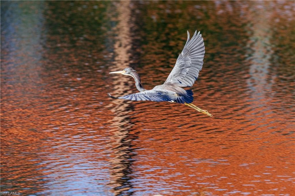 1468 Gormican LN, NAPLES FL 34110-34