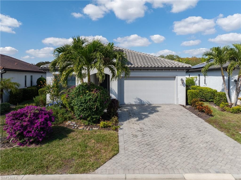 11546 Onyx CIR-44