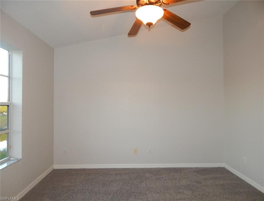 1334 Weeping Willow CT-11