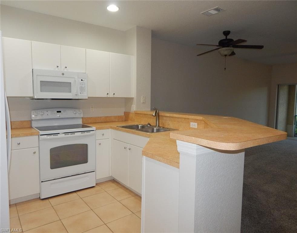 1334 Weeping Willow CT-6
