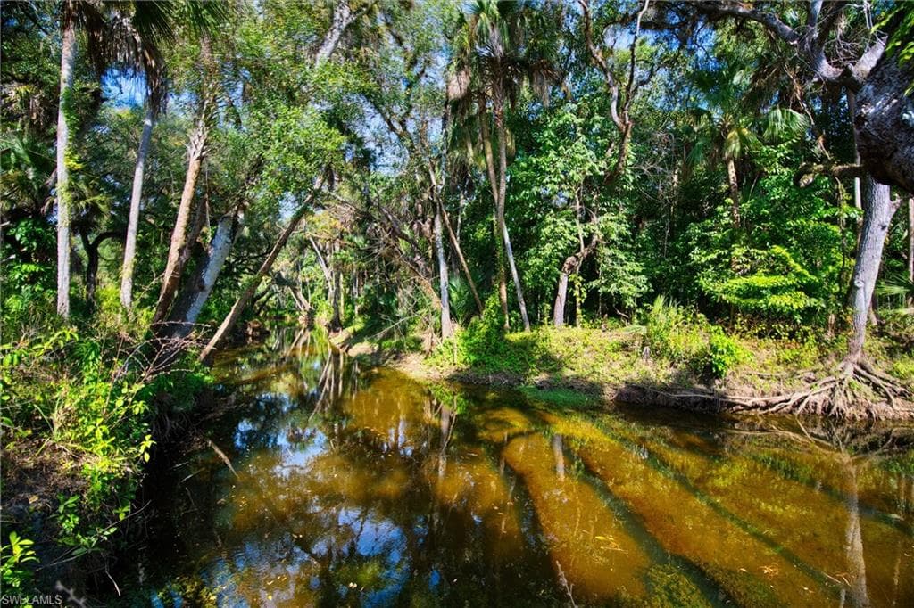 14221 River RD, FORT MYERS FL 33905-1