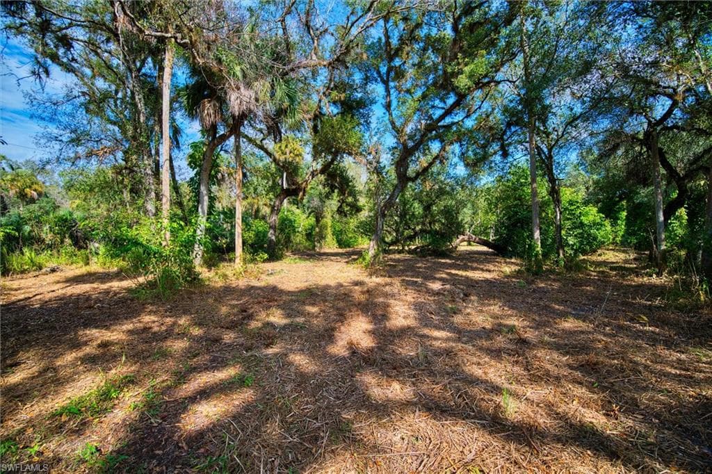 14221 River RD, FORT MYERS FL 33905-11