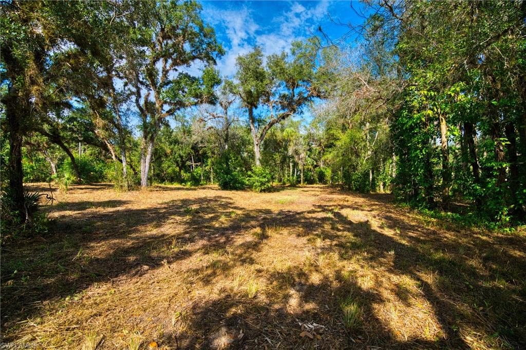 14221 River RD, FORT MYERS FL 33905-6