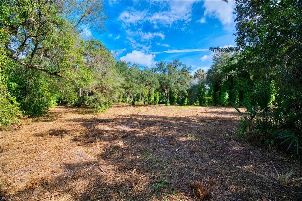 14221 River RD, FORT MYERS FL 33905-8