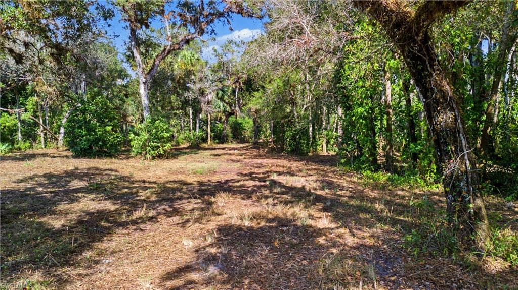 14221 River RD, FORT MYERS FL 33905-9