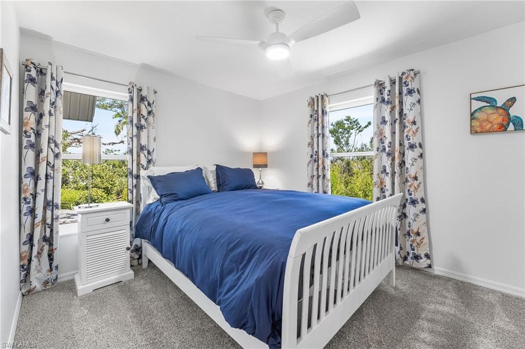 241 Violet DR-22