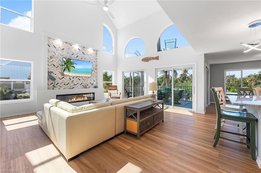 241 Violet DR-5