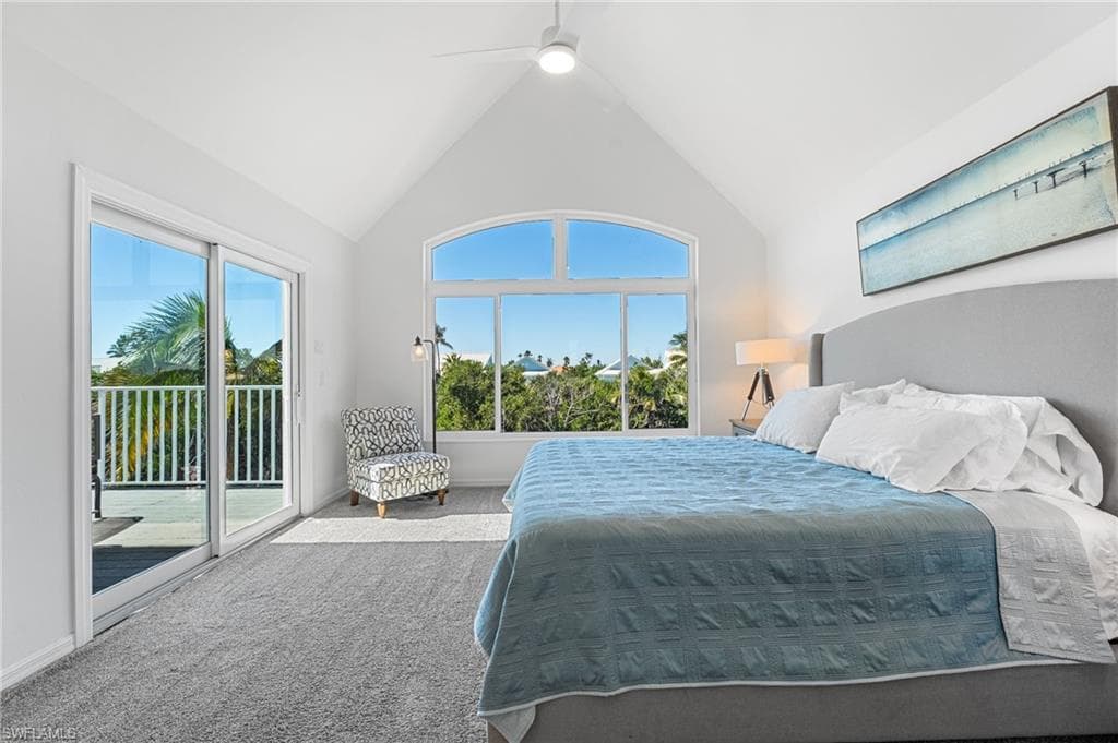 241 Violet DR-29