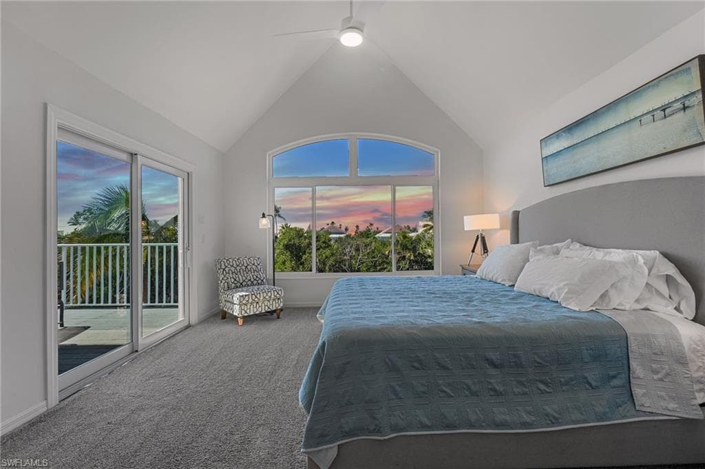 241 Violet DR-30