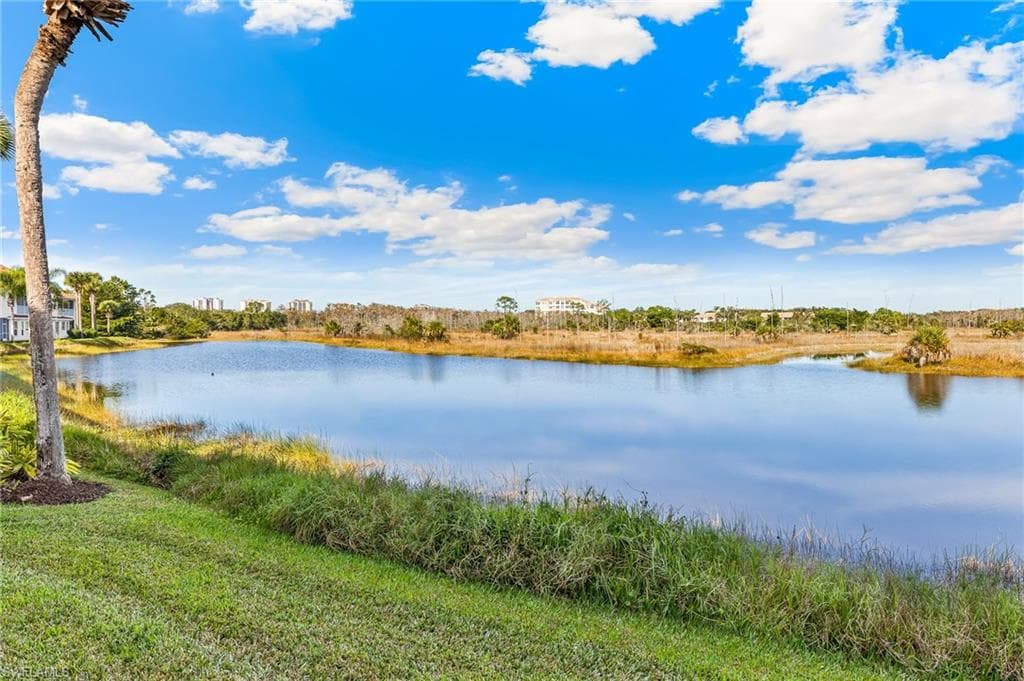 25000 Cypress Hollow CT # 101, BONITA SPRINGS FL 34134-20