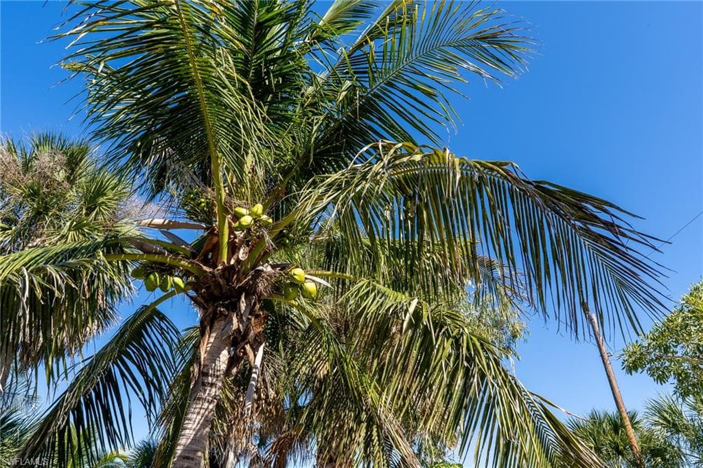 5801 Sanibel Captiva RD, SANIBEL FL 33957-42