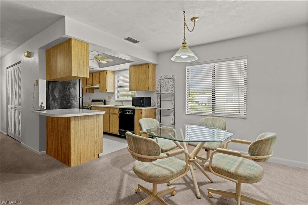 1113 Cape Coral PKWY W # 103, CAPE CORAL FL 33914-2