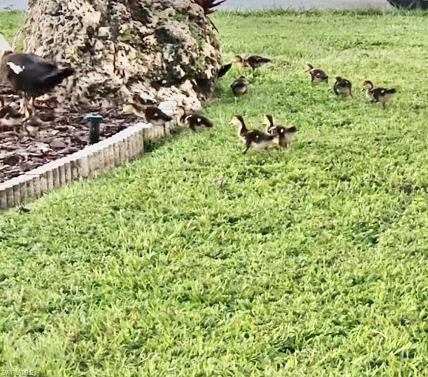 613 Pine Grove CT, NORTH FORT MYERS FL 33917-33