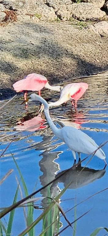 613 Pine Grove CT, NORTH FORT MYERS FL 33917-34