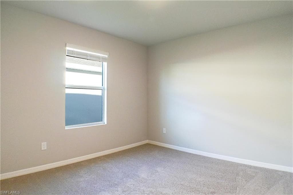 10313 meandering river WAY, FORT MYERS FL 33905-9