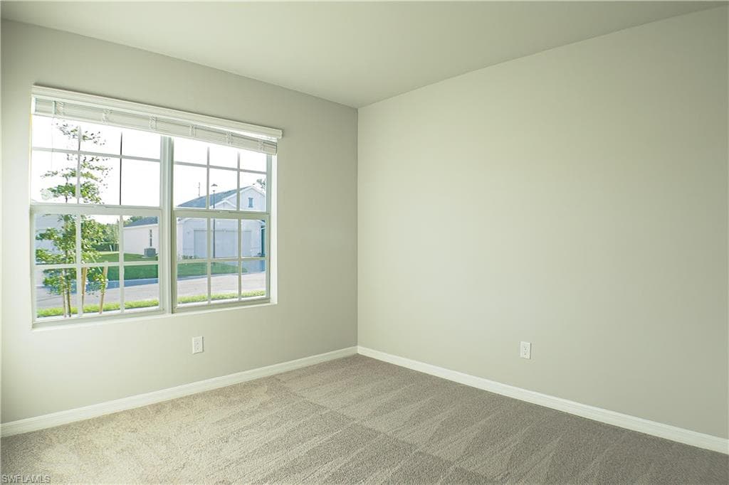 10313 meandering river WAY, FORT MYERS FL 33905-14