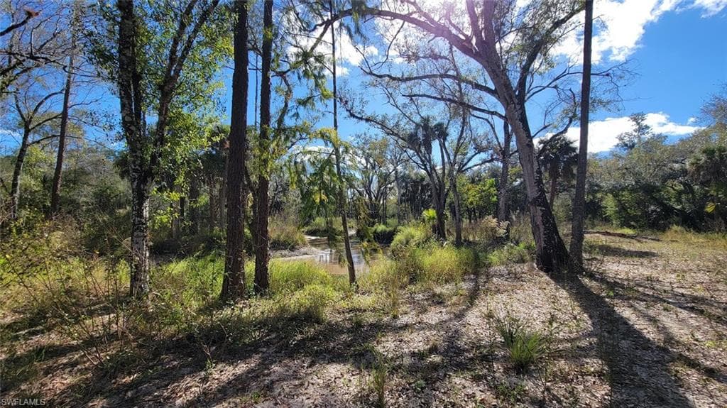 1 Wright ST, LABELLE FL 33935-3