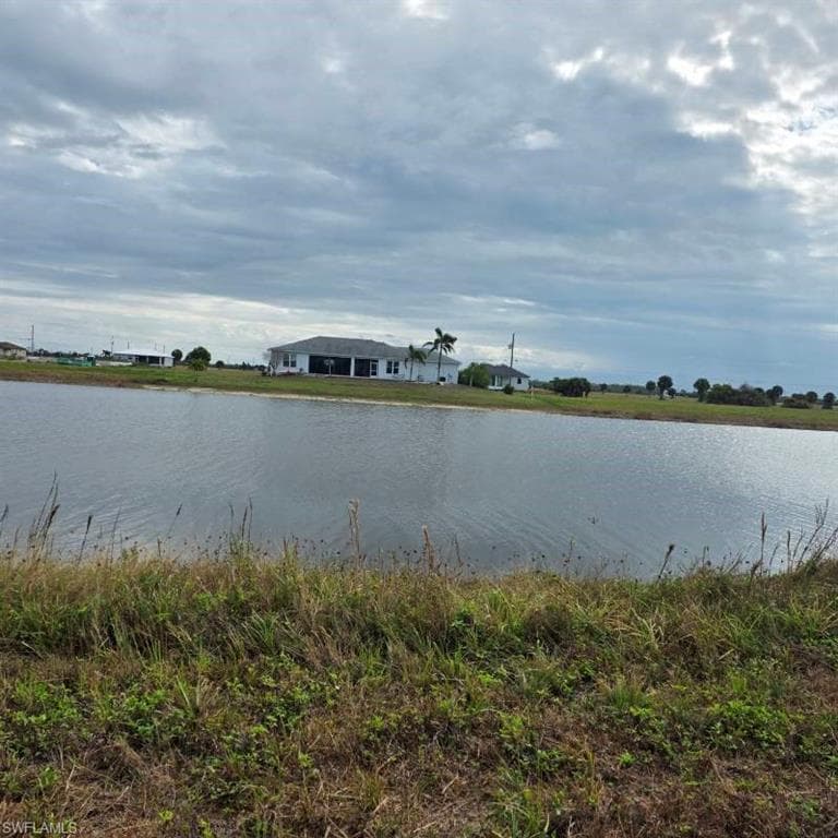12 Loon LN-29