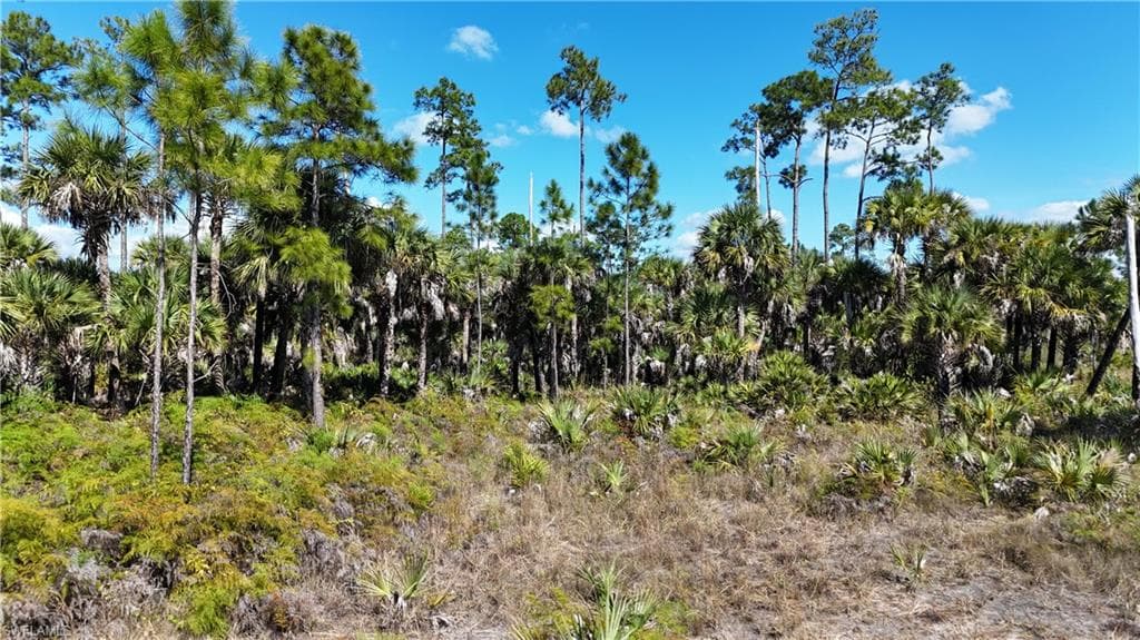 , NAPLES FL 34117-14