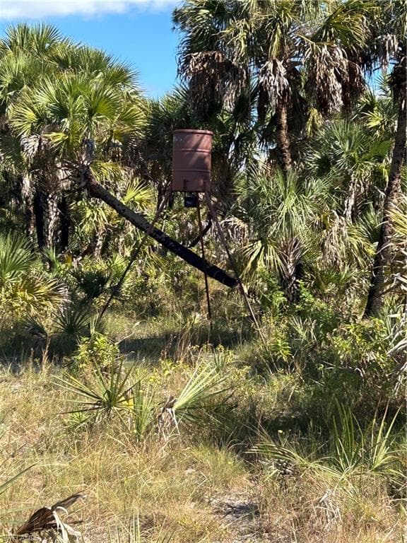 , NAPLES FL 34117-34