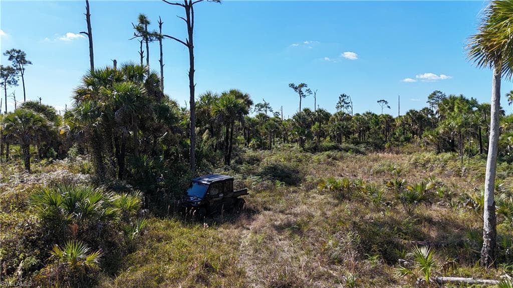 , NAPLES FL 34117-31