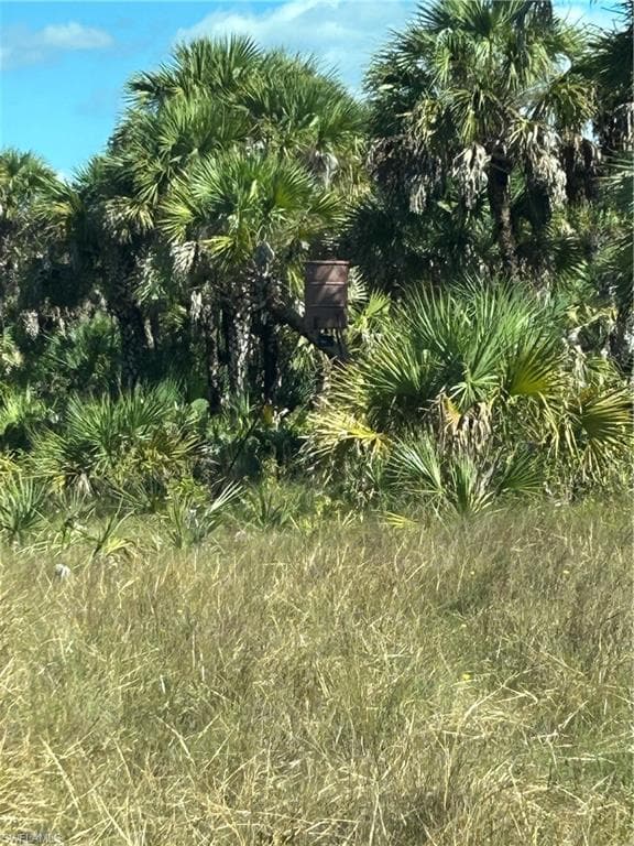 , NAPLES FL 34117-33