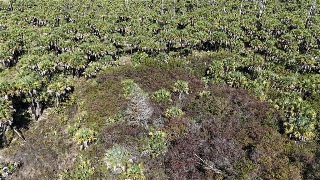 , NAPLES FL 34117-29