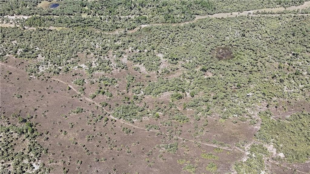 , NAPLES FL 34117-19