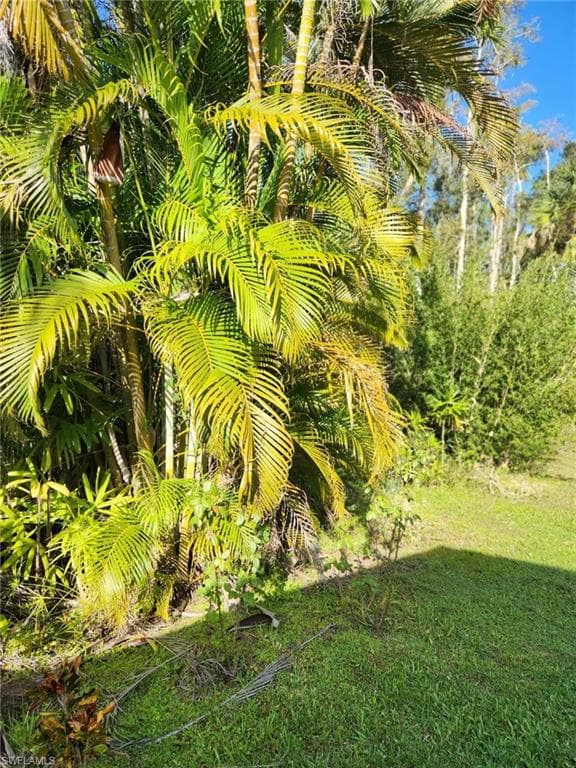 10823 Ani CIR, ESTERO FL 33928-24