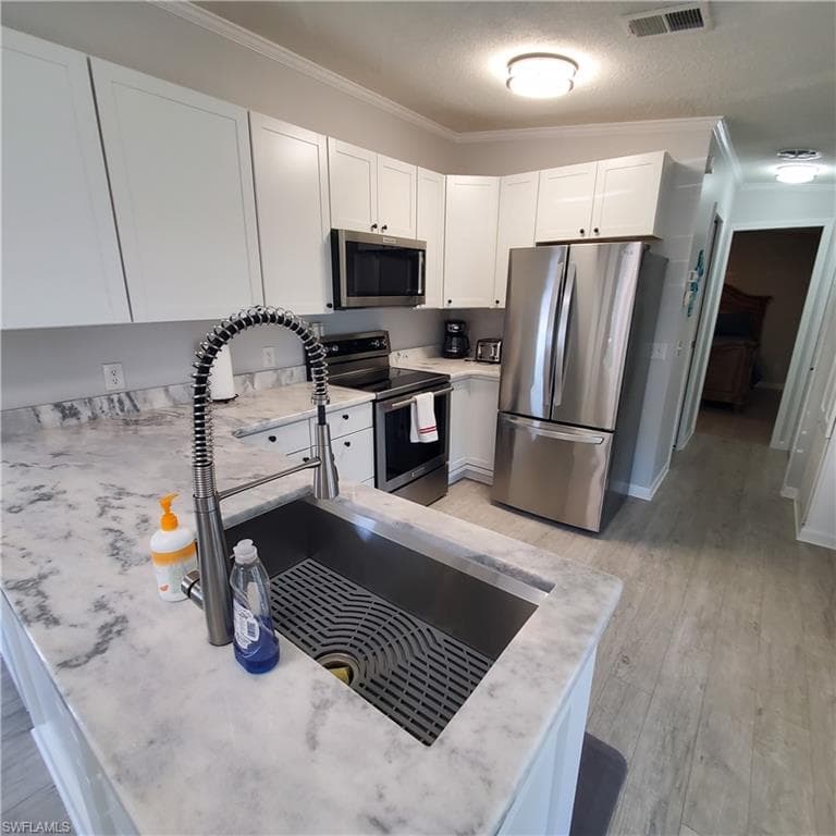 10823 Ani CIR, ESTERO FL 33928-9