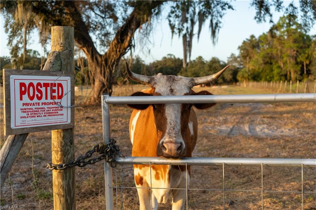 894 Cemetery RD, LABELLE FL 33935-5