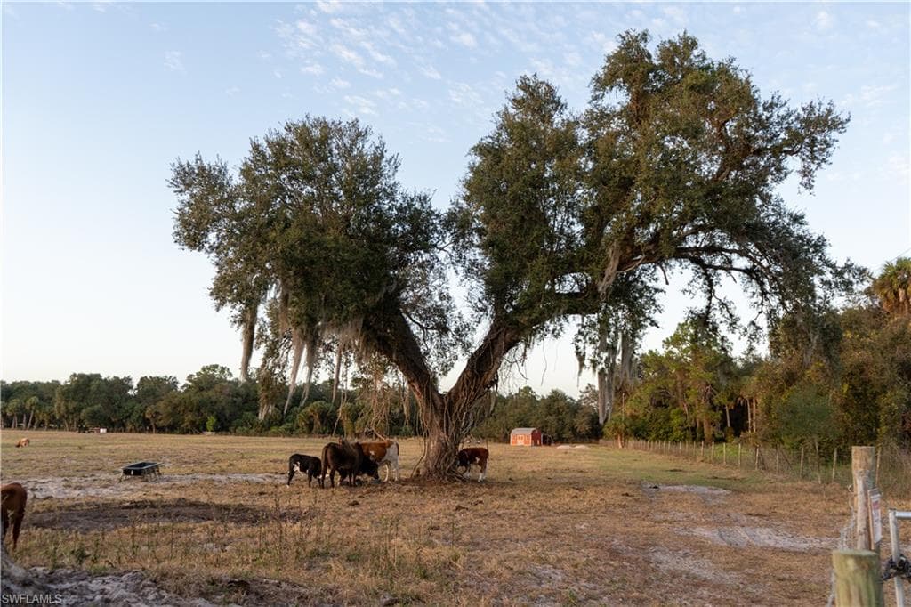 894 Cemetery RD, LABELLE FL 33935-31