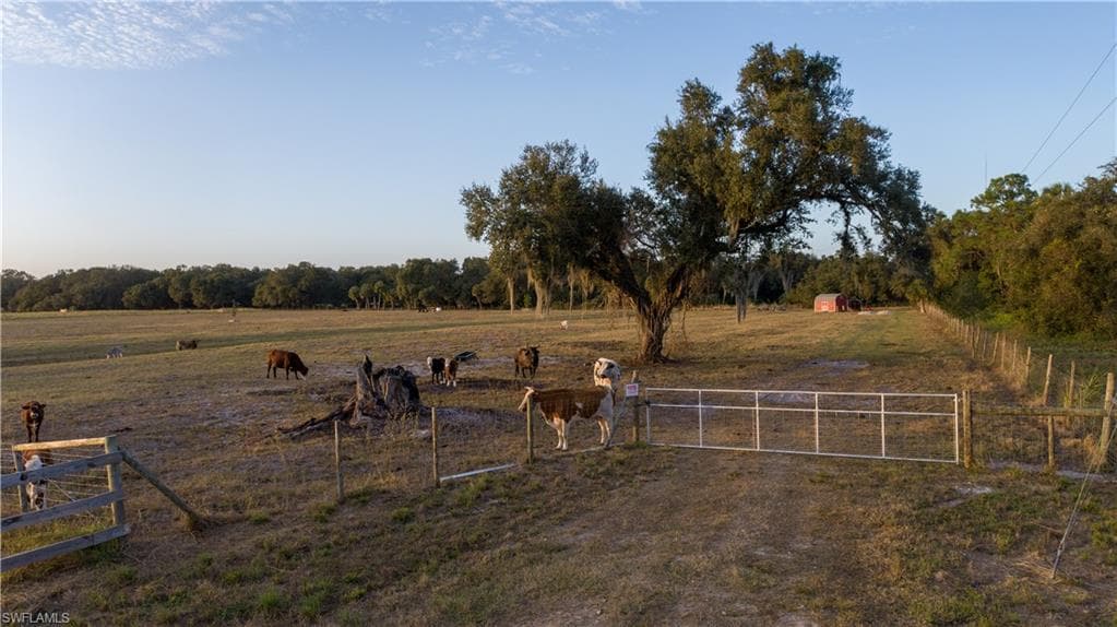 894 Cemetery RD, LABELLE FL 33935-8