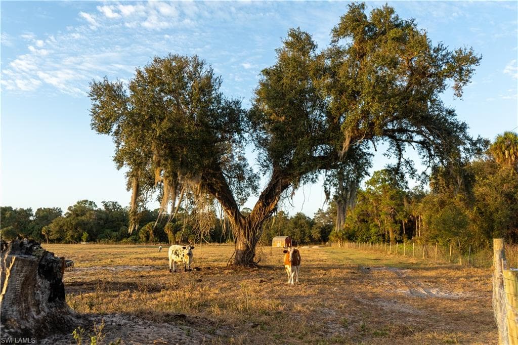894 Cemetery RD, LABELLE FL 33935-44