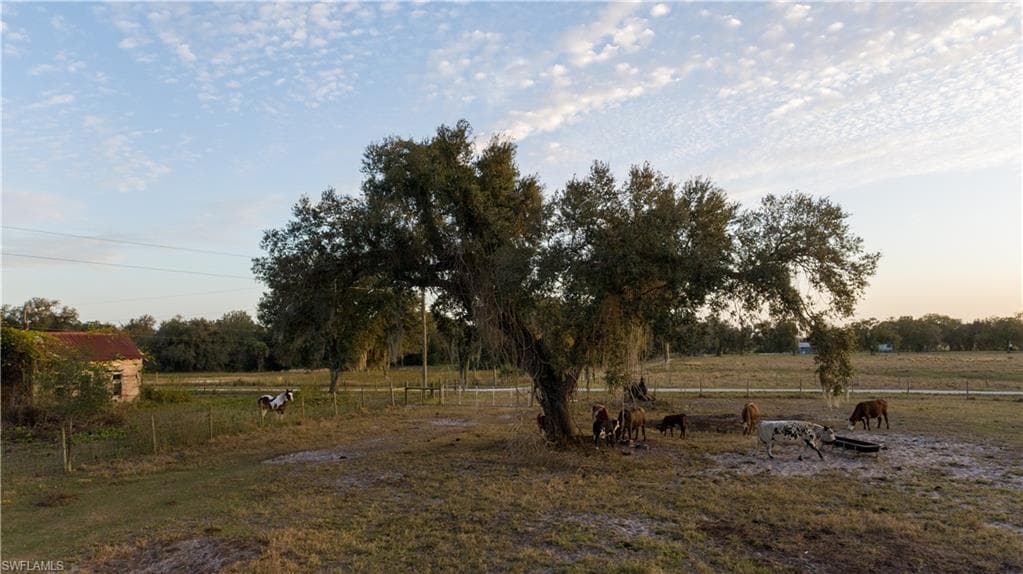 894 Cemetery RD, LABELLE FL 33935-3