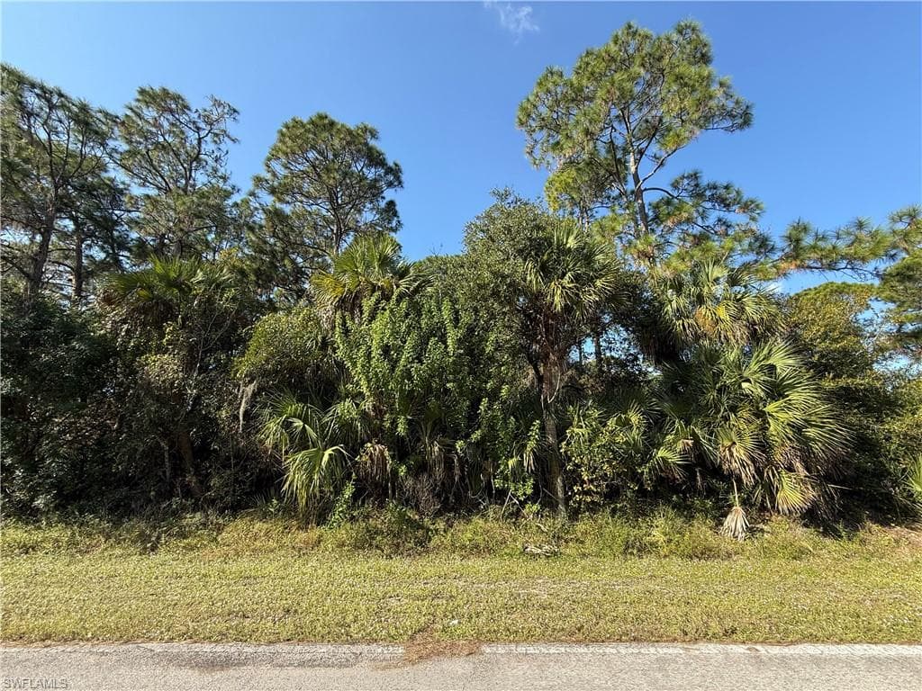 810 S Mayoral ST, CLEWISTON FL 33440-2