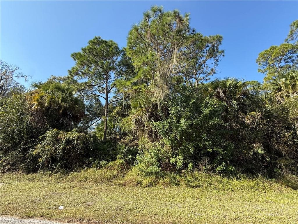 810 S Mayoral ST, CLEWISTON FL 33440-4