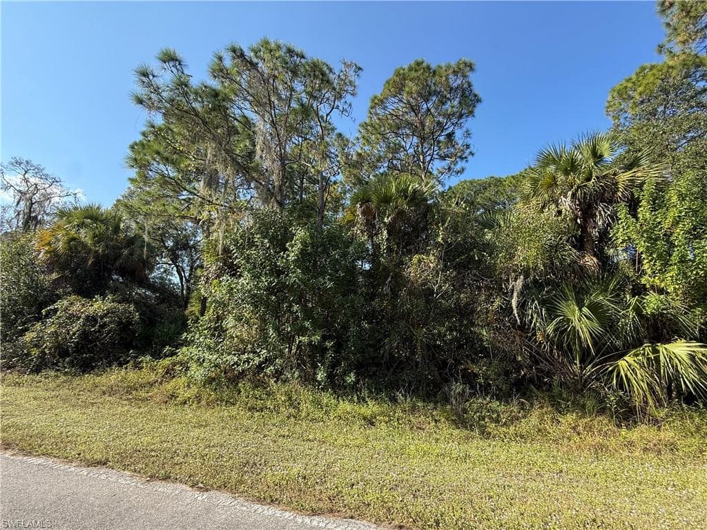 810 S Mayoral ST, CLEWISTON FL 33440-3