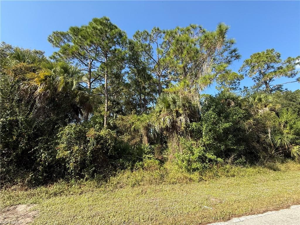 810 S Mayoral ST, CLEWISTON FL 33440-7