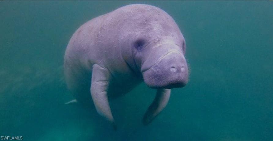 333 Sunrise Cay # 2, NAPLES FL 34114-4