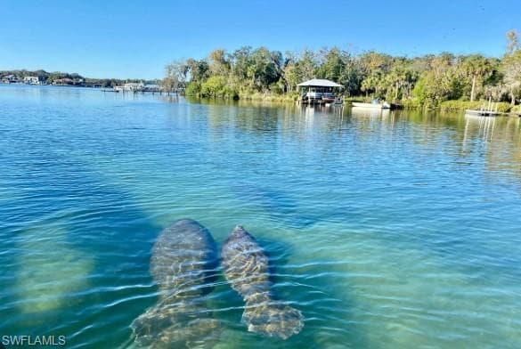 333 Sunrise Cay # 2, NAPLES FL 34114-43