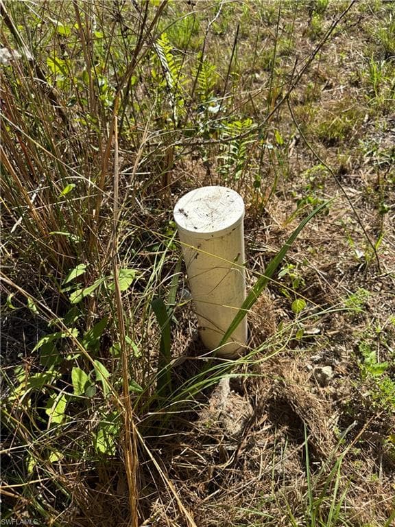 691 Bald Cypress AVE, CLEWISTON FL 33440-1